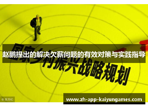 赵鹏提出的解决欠薪问题的有效对策与实践指导 赵鹏提出的解决欠薪问题的有效对策与实践指导