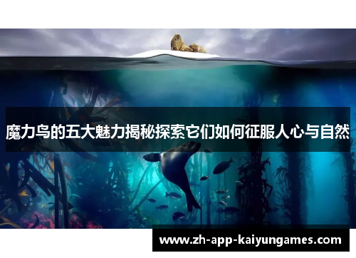 魔力鸟的五大魅力揭秘探索它们如何征服人心与自然